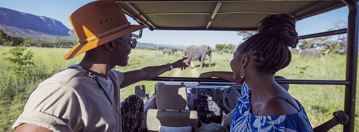 Africa Game Drive