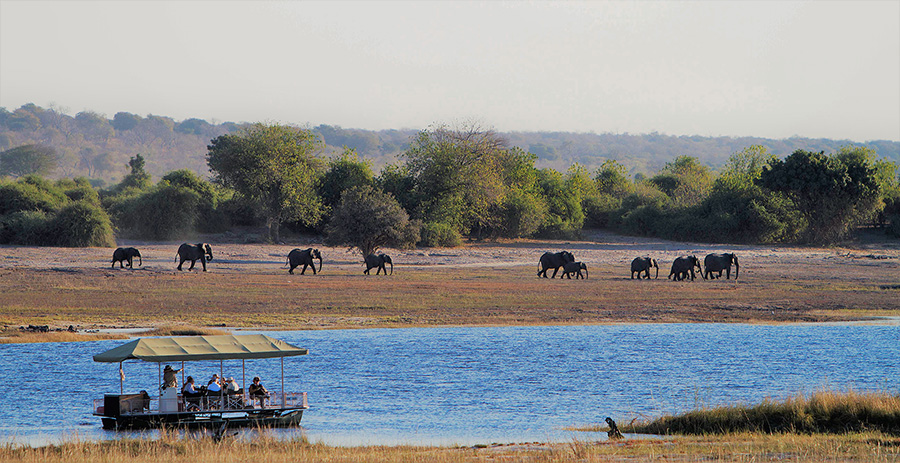 Elephant viewing in Chobe National Park, Botswana