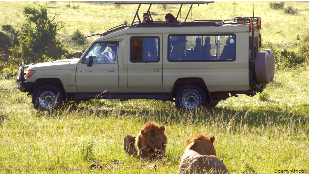 Types of Safari Vehicles You’ll Be Riding In