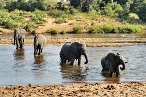 South Africa in Absolute Style