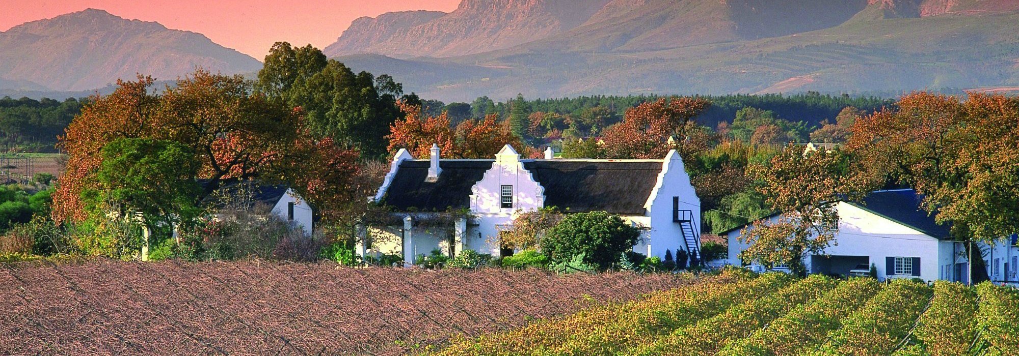 Cape Winelands