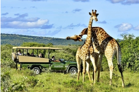 Tented Safari in Style