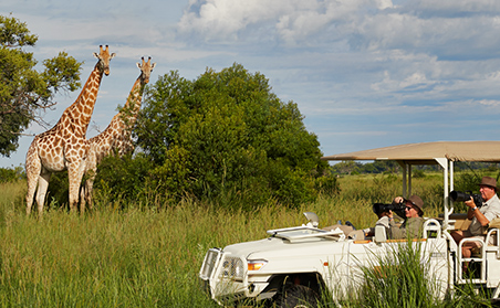 all inclusive african safari vacations from canada
