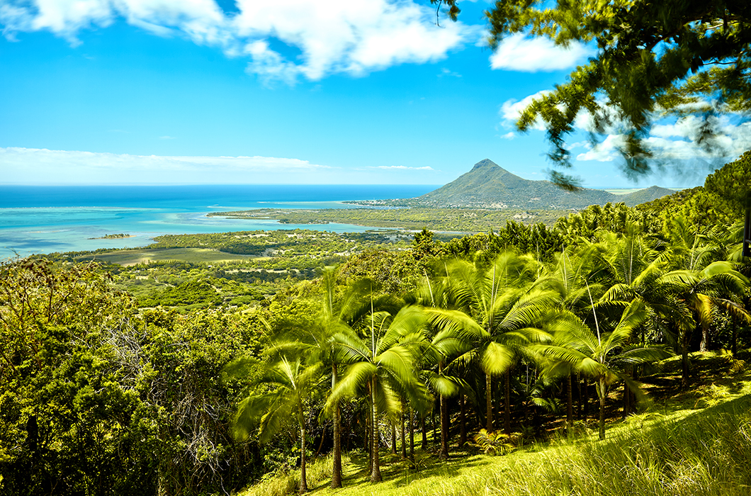 Explore and adventure through the lush landscape of Mauritius.