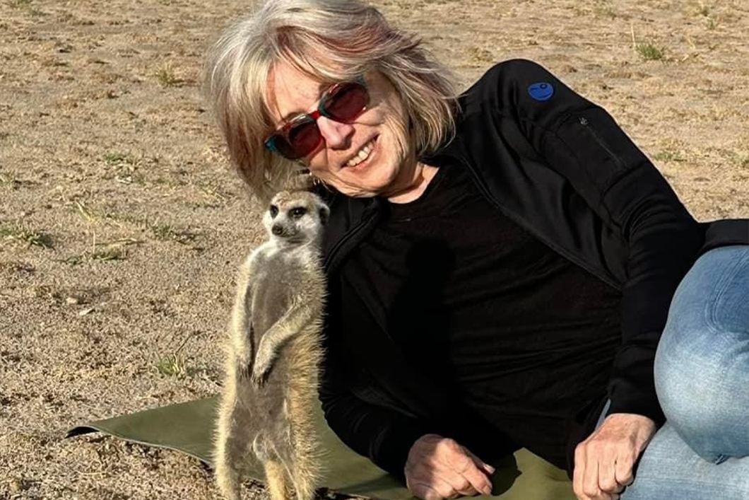 Curious meerkat greeting guest and posing for picture on safari in Botswana.