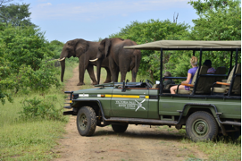 Victoria Falls in Style - Air Included - From $1799 | Lion World Travel